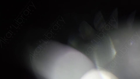 视频素材-耀斑Luminary_8