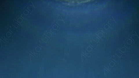 视频素材-光晕MD_Quick_14
