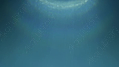 视频素材-光晕MD_Quick_15