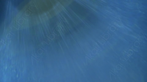 视频素材-光晕MD_Subtle_4