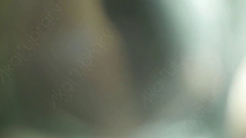 视频素材-耀斑MultiColor_Transition_3
