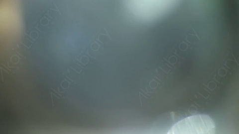 视频素材-耀斑MultiColor_Transition_4