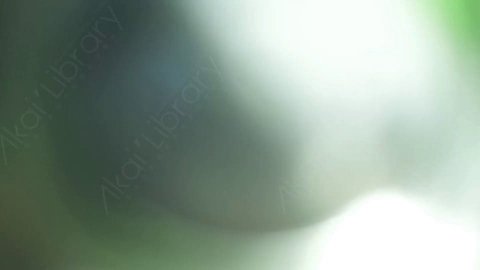 视频素材-耀斑MultiColor_Transition_7mp4