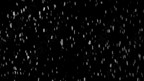 视频素材-下雪雪花飘落NS_Classic_10