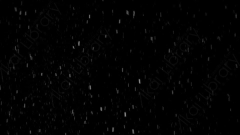 视频素材-下雪雪花飘落NS_Classic_5