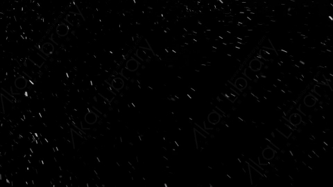 视频素材-下雪雪花飘落NS_Ethereal_10
