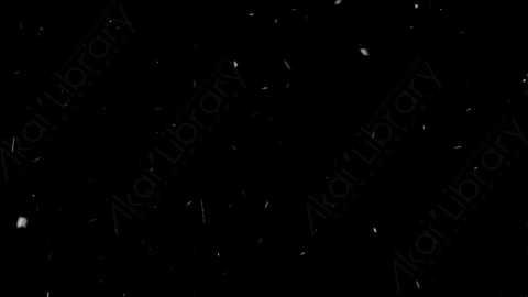 视频素材-下雪雪花飘落NS_Ethereal_13