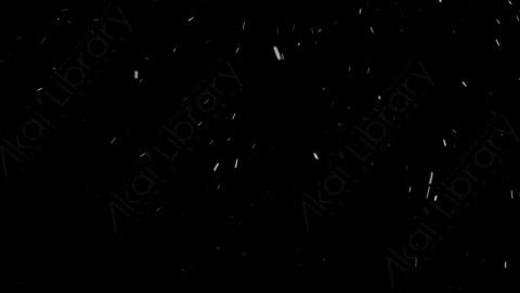 视频素材-下雪雪花飘落NS_Ethereal_14