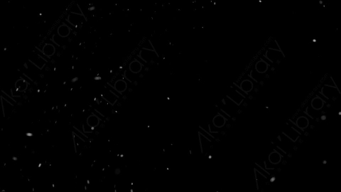 视频素材-下雪雪花飘落NS_Ethereal_17