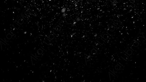 视频素材-下雪雪花飘落NS_Ethereal_18