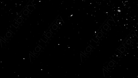 视频素材-下雪雪花飘落NS_Weightless_1