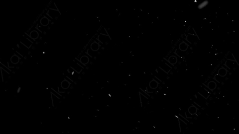 视频素材-下雪雪花飘落NS_Weightless_11