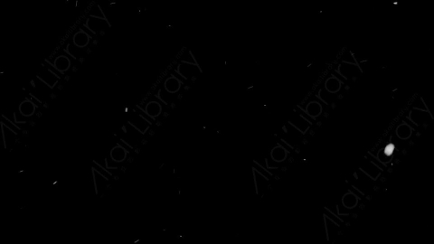 视频素材-下雪雪花飘落NS_Weightless_12