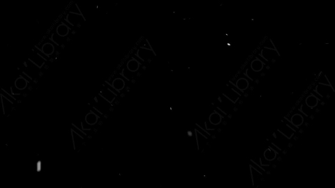 视频素材-下雪雪花飘落NS_Weightless_13