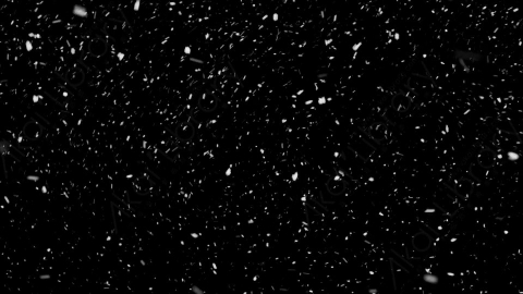视频素材-下雪雪花飘落NS_Weightless_17