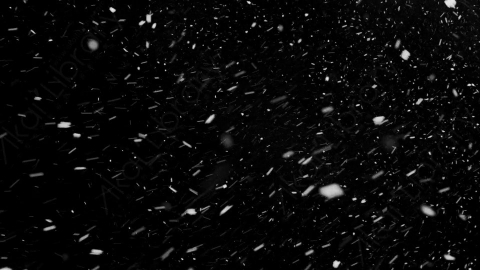 视频素材-下雪雪花飘落NS_Weightless_18