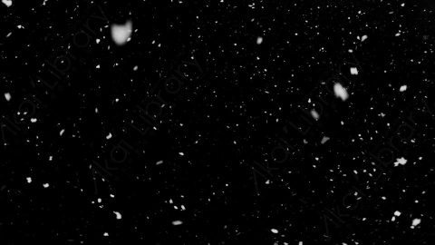 视频素材-下雪雪花飘落NS_Weightless_20