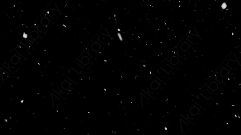 视频素材-下雪雪花飘落NS_Weightless_3