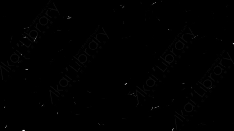 视频素材-下雪雪花飘落NS_Weightless_5