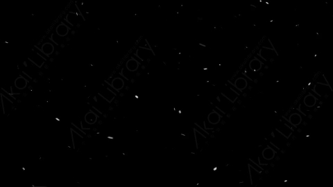 视频素材-下雪雪花飘落NS_Weightless_7