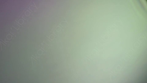 视频素材-光晕Prime_100mm_05