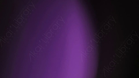 视频素材-漏光Purple_Ambience_1