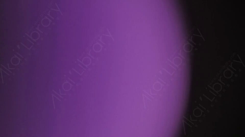 视频素材-漏光Purple_Ambience_4