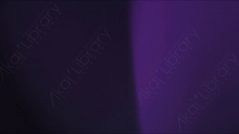视频素材-耀斑Purple_Transition_1