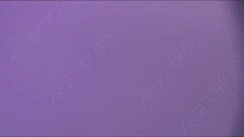 视频素材-耀斑Purple_Transition_2