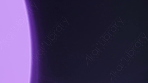 视频素材-耀斑Purple_Transition_2