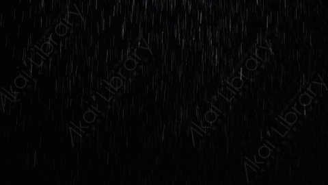 视频素材-下雨雨水Rain21