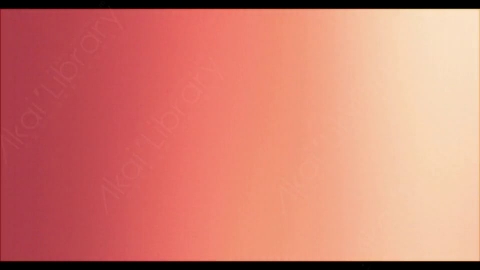 视频素材-炫光Rampant_4K_Designer_Film_Flashes_009