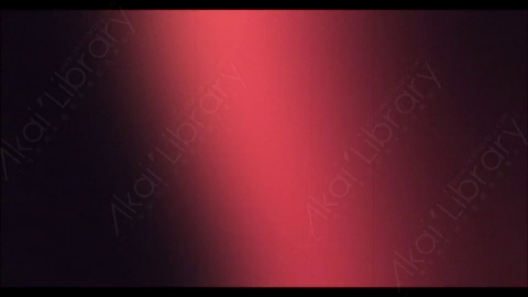 视频素材-炫光Rampant_4K_Designer_Film_Flashes_044