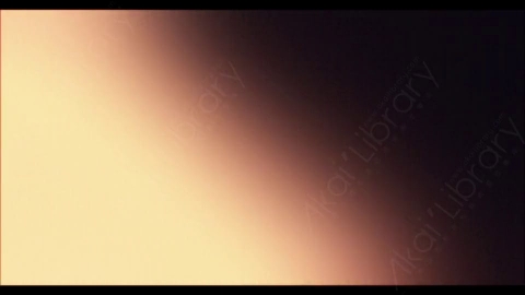 视频素材-炫光Rampant_4K_Designer_Film_Flashes_073