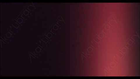 视频素材-炫光Rampant_4K_Designer_Film_Flashes_093