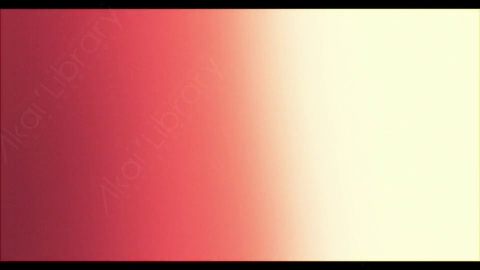 视频素材-炫光Rampant_4K_Designer_Film_Flashes_102