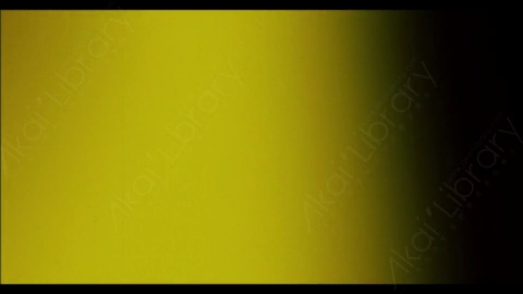 视频素材-炫光Rampant_4K_Designer_Film_Flashes_141