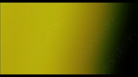 视频素材-炫光Rampant_4K_Designer_Film_Flashes_161