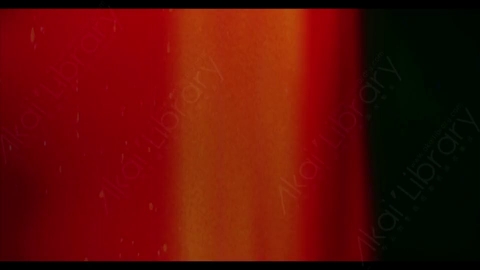 视频素材-胶片烧伤炫光Rampant_4K_Film_Burns_008E