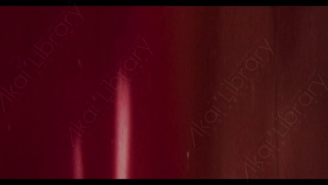 视频素材-胶片烧伤炫光Rampant_4K_Film_Burns_012E