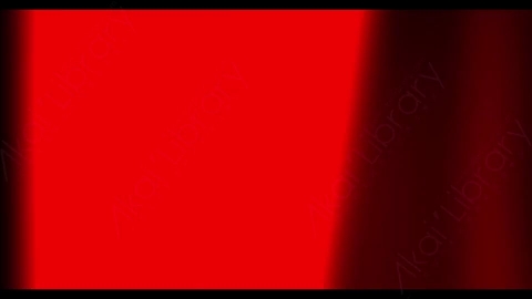 视频素材-胶片烧伤炫光Rampant_4K_Film_Burns_020E