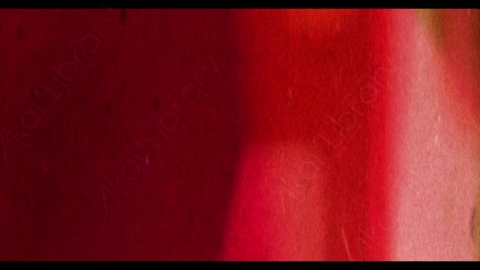 视频素材-胶片烧伤炫光Rampant_4K_Film_Burns_069E