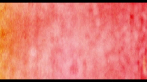 视频素材-胶片烧伤炫光Rampant_4K_Film_Burns_091E