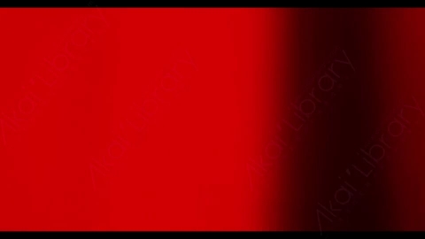 视频素材-胶片烧伤炫光Rampant_4K_Film_Burns_094E