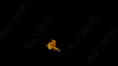 视频素材-Rampant_4K_Fire_003燃烧火焰