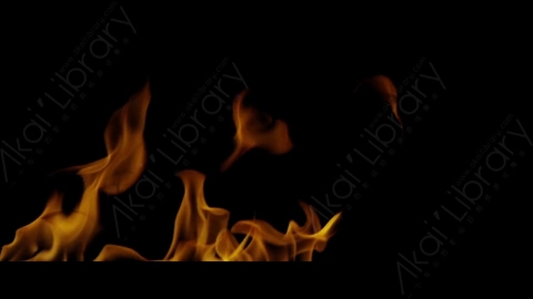 视频素材-Rampant_4K_Fire_006燃烧火焰