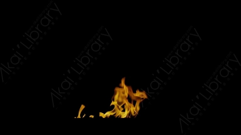 视频素材-Rampant_4K_Fire_012燃烧火焰