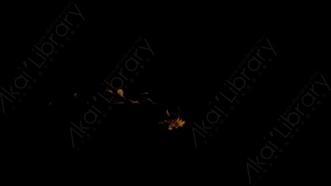 视频素材-Rampant_4K_Fire_020喷射火焰燃烧