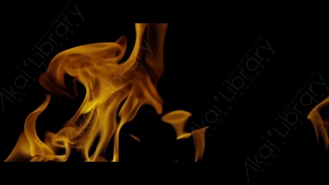 视频素材-Rampant_4K_Fire_022燃烧火焰