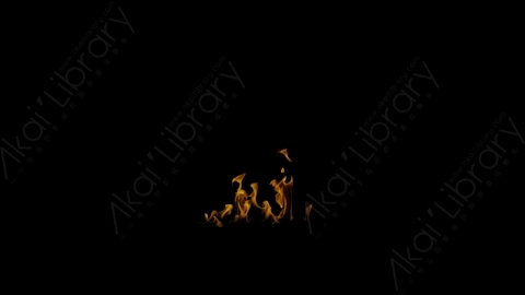 视频素材-Rampant_4K_Fire_034燃烧火焰
